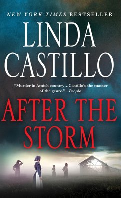 After the Storm - Castillo, Linda
