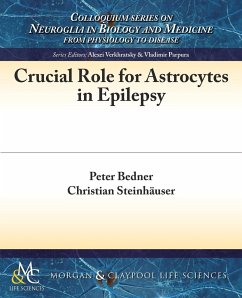 Crucial Role for Astrocytes in Epilepsy - Bedner, Peter; Steinhauser, Christian