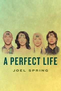 A Perfect Life - Spring, Joel