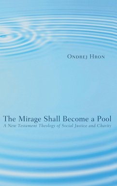 The Mirage Shall Become a Pool - Hron, Ondrej