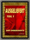 AUSGELIEFERT, TEIL 1 (eBook, ePUB)