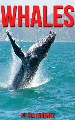 Whales (eBook, ePUB) - Lorentz, Petra