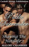 Public Surrender (eBook, ePUB)
