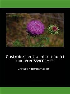 Costruire centralini telefonici con FreeSWITCH (eBook, ePUB) - Bergamaschi, Christian