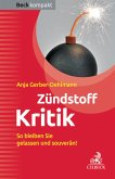 Zündstoff Kritik (eBook, ePUB)