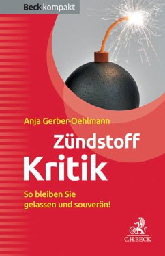 Zündstoff Kritik (eBook, ePUB) - Gerber-Oehlmann, Anja