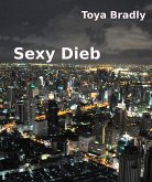 Sexy Dieb (eBook, ePUB)