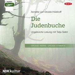Cover Die Judenbuche (MP3-Download)