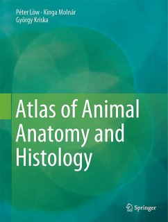 Atlas of Animal Anatomy and Histology - Löw, Péter;Molnár, Kinga;Kriska, György