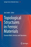 Topological Structures in Ferroic Materials