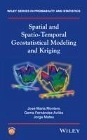 Spatial and Spatio-Temporal Geostatistical Modeling and Kriging (eBook, PDF) - Montero, José-María; Fernández-Avilés, Gema; Mateu, Jorge