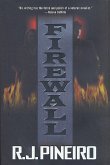 Firewall (eBook, ePUB)