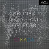 Drones,Scales And Objects Drones,Scales And Objects