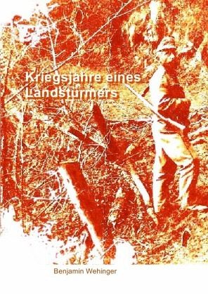 Kriegsjahre eines Landstürmers