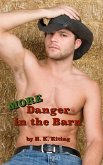 More Danger in the Barn (eBook, ePUB) More Danger in the Barn (eBook, ePUB)
