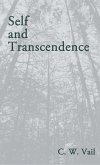 Self and Transcendence (eBook, ePUB)