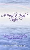 A Friend In High Places (eBook, ePUB)