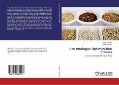Rice Analogue Optimization Process