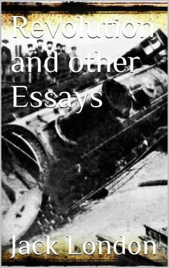 Cover Revolution and Other Essays (eBook, ePUB)