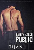 Fallen Crest Public (Fallen Crest Series, #3) (eBook, ePUB)