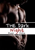 The Dark Night [Gay Erotik] (eBook, ePUB)
