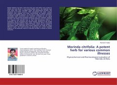 Morinda citrifolia: A potent herb for various common illnesses - Yadav, Ramesh