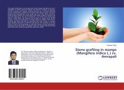 Stone grafting in mango (Mangifera indica L.) cv. Amrapali - Singh, Niranjan