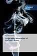 Large eddy simulation of turbulent flows - Bild 1