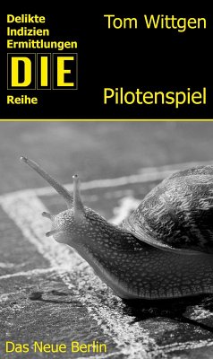 Das Pilotenspiel (eBook, ePUB) - Wittgen, Tom