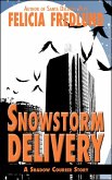 Snowstorm Delivery (Shadow Courier) (eBook, ePUB)