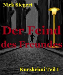 Der Feind des Freundes (eBook, ePUB) - Siegert, Nick