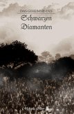 Das Geheimnis des Schwarzen Diamanten (eBook, ePUB)