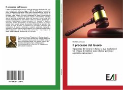 Il processo del lavoro - Amoruso, Michael