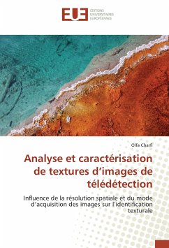 Analyse et caractérisation de textures d¿images de télédétection - Charfi, Olfa