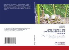 Sense organs of the common quail coturnix coturnix