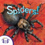 Know-It-Alls! Spiders (eBook, PDF)