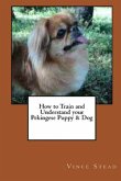 How to Train and Understand your Pekingese Puppy & Dog