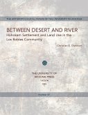 Between Desert and River: Hohokam Settlement and Land Use in the Los Robles Community Volume 57