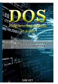 DOS Programming Succes In A Day