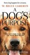 A Dog's Purpose - Bild 1