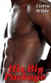 His Big Package (eBook, ePUB) His Big Package (eBook, ePUB)