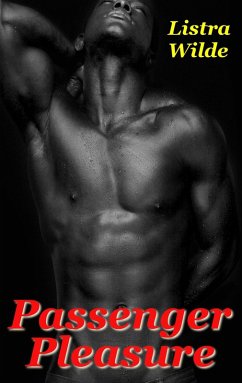 Cover Passenger Pleasure (eBook, ePUB)