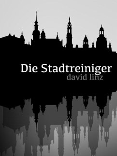 Die Stadtreiniger (eBook, ePUB) - Linz, David