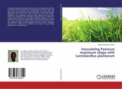 Inoculating Panicum maximum silage with Lactobacillus plantarum