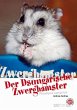 Der Dsungarische Zwerghamster - Bild 1