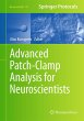Advanced Patch-Clamp Analysis for... - Bild 1