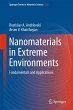 Nanomaterials in Extreme Environments - Bild 1