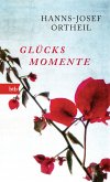 Glücksmomente (eBook, ePUB)