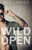 Wild Open: A Rock Star Romance (The Saving Graces, #1) (eBook, ePUB)