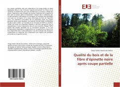 Qualité du bois et de la fibre d¿épinette noire après coupe partielle - Braido dos Santos, Diego Valério